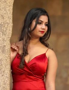 call girl service in Nathdwara